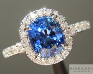 SOLD.... Sapphire Ring: 1.66ct Blue Cushion Cut Sapphire Diamond Halo Ring R5022