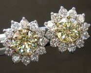 SOLD...Yellow Diamond Earrings: 1.43cts Y-Z Round Brilliant Diamond Halo Earrings R6600